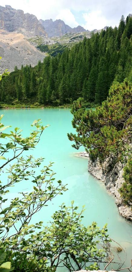 Anna Domegge di Cadore